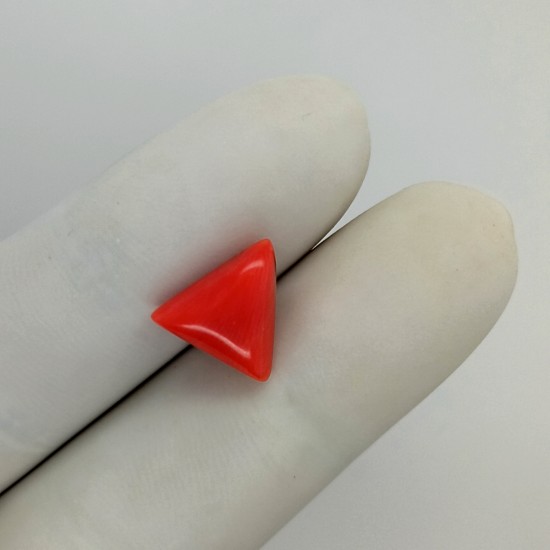 Coral  (Moonga) 4.58 Ct Gem Quality